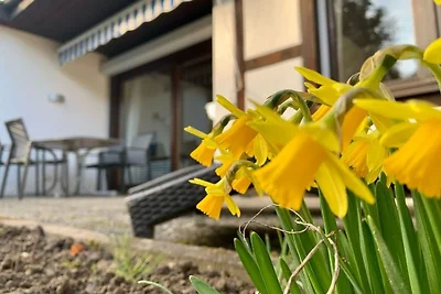 Casa vacanze Vacanza di relax Bodman-Ludwigshafen