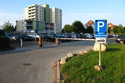 Vier Jahreszeiten I / 50