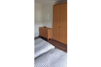An den Elbwiesen