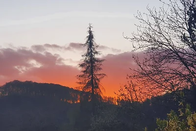 Appartment 40 in Tossens