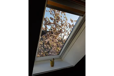 Ferienhäuschen Neuberend