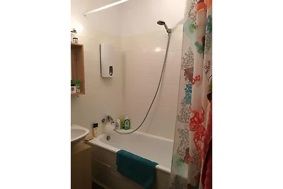 Schwedenhäuschen am See - einfach