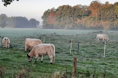 Vakantiehuis Ontspannende vakantie Silberstedt