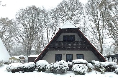 Finnhäuser am Vogelpark - Haus