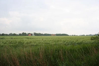 Ferienhaus 3370 in Tossens