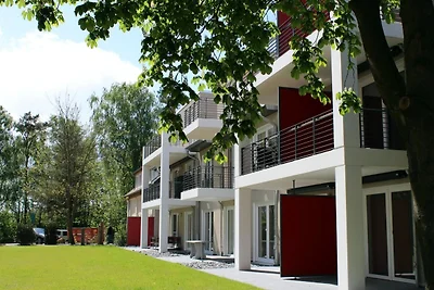 Lachmöwe App. 35