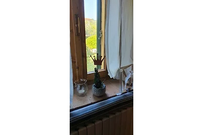 Casa vacanze Vacanza di relax Pisa