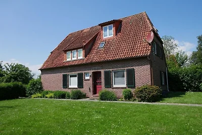 Apart Lachmöwe im Möwennest