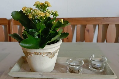 Vakantieappartement Gezinsvakantie Bad Wünnenberg