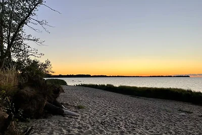 Reethaus "Hornhecht"