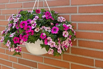 Appartamento Vacanza con famiglia Ascheberg