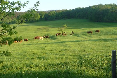 Wiesengrund