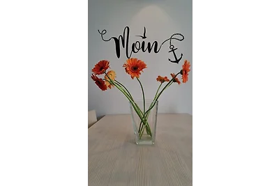 Apartment 28, Blickrichtung