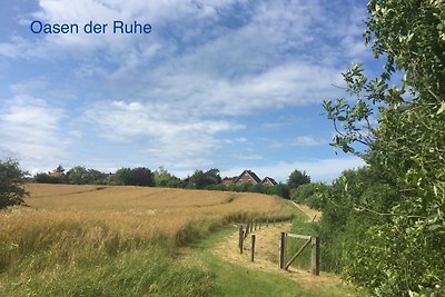 Whg. Muschelsucher - Haus