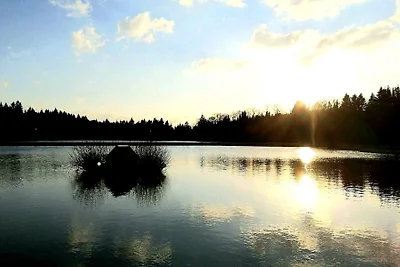 Chill Out Apartment Bergblick
