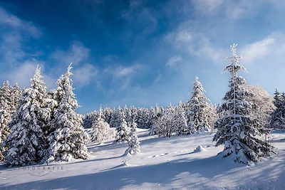 Ferienhaus Dresselbach - Wohnung 03