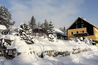 Vakantieappartement Gezinsvakantie Kurort Rathen