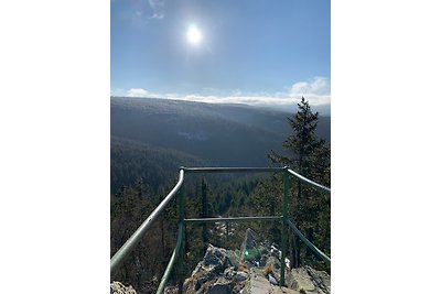 Vakantieappartement Gezinsvakantie Hahnenklee