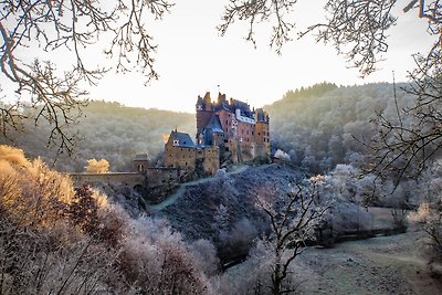 Vakantieappartement Gezinsvakantie Münstermaifeld