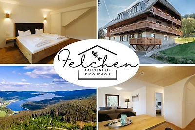 apartman za odmor Obiteljski odmor Schluchsee