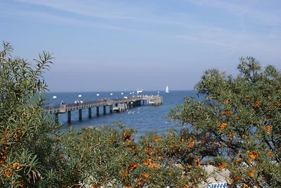 Ferienhaus Moin - ABC608