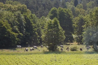 Appartamento Vacanza con famiglia Nahrendorf