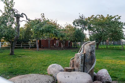 Heimathafen (Whg. 2)