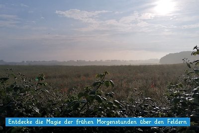 Das magische Geschichtenhaus