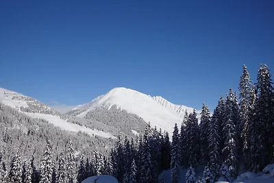 Vakantiehuis Ontspannende vakantie Fügenberg