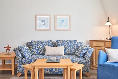 Strandflieder, App. 16