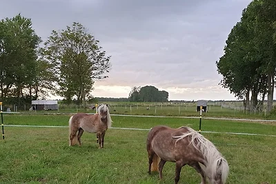 Appartamento Vacanza con famiglia Ihlow