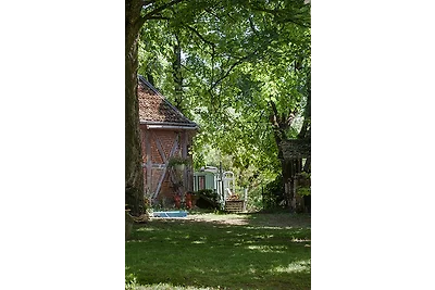 Zirkuswagen - Roulotte