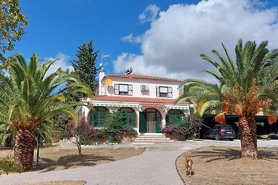 Habitacion Oliva