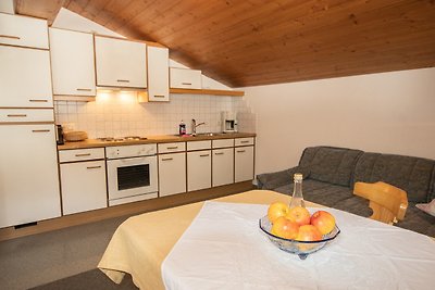 Vakantieappartement Gezinsvakantie Wildschönau