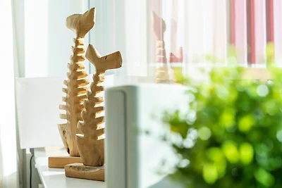 Berolina Sonnenseele