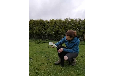 Hof Rüsch - Ferienhaus cottage