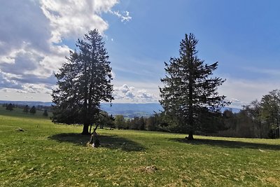 Vakantieappartement Gezinsvakantie Bernau im Schwarzwald