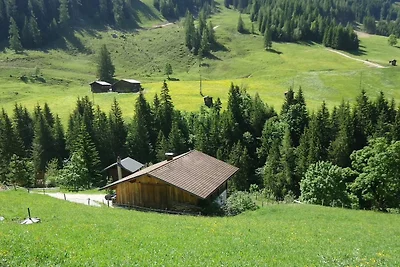 Almhütte Nähe Skigebiet