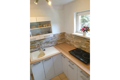 Elbblick kleine Wohnung
