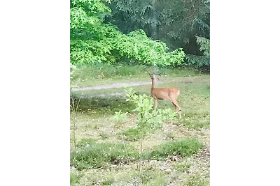 Vakantiehuis Ontspannende vakantie Bardowick
