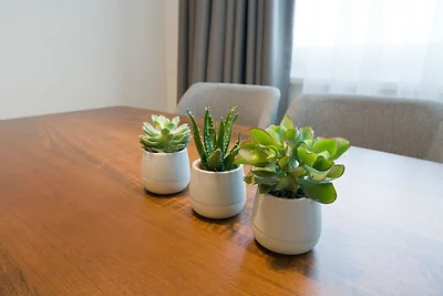 Vakantieappartement Gezinsvakantie Wien