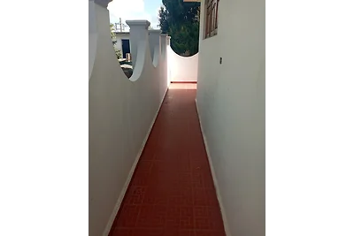 Hostal Alexander Appartement 1