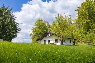 Vakantiehuis Ontspannende vakantie Brilon