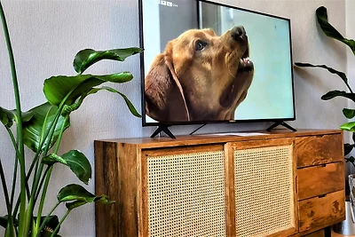 Appartamento Vacanza con famiglia Bad Harzburg