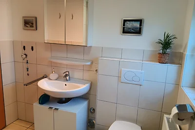 Apart Lachmöwe