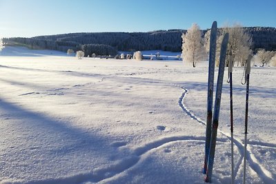 Ferienwohnung Steinberg mit Sauna