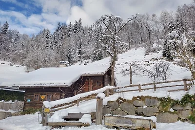 Vakantiehuis Ontspannende vakantie Pfarrwerfen