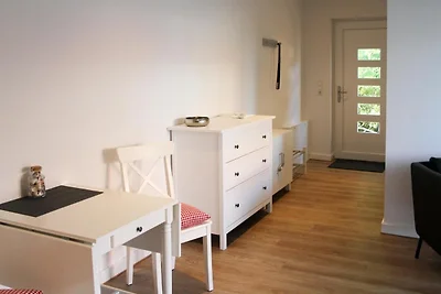 Lachmöwe, Haus an den Salzwiesen