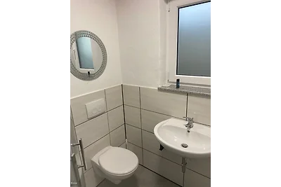 Ferienhaus direkt am Deich