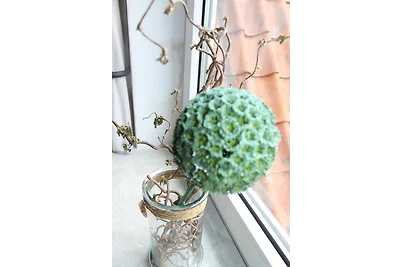 Haus NO. 63 - Ferienwohnung "oben"